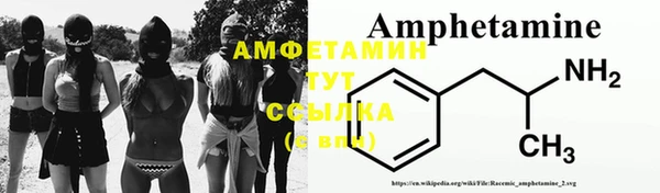 прущие грибы Осташков