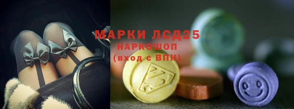 spice Бородино