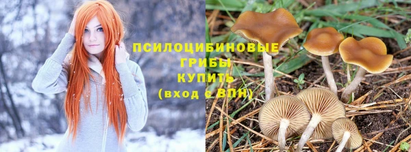 spice Бородино