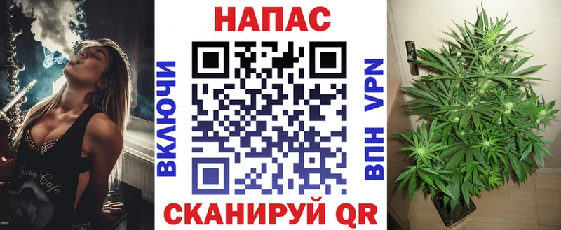 гидра зеркало  купить наркотики цена  Гурьевск  Конопля тримм 